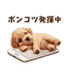 トイプードルのネガティブ気分スタンプ（個別スタンプ：19）