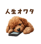 トイプードルのネガティブ気分スタンプ（個別スタンプ：33）