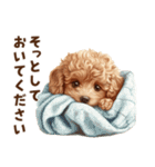 トイプードルのネガティブ気分スタンプ（個別スタンプ：34）
