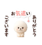 ビションフリーゼ★長文（個別スタンプ：4）