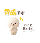 ビションフリーゼ★長文（個別スタンプ：12）