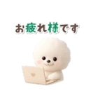 ビションフリーゼ★長文（個別スタンプ：14）