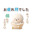 ビションフリーゼ★長文（個別スタンプ：15）