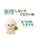 ビションフリーゼ★長文（個別スタンプ：16）