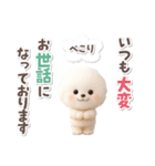 ビションフリーゼ★長文（個別スタンプ：20）