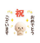 ビションフリーゼ★長文（個別スタンプ：22）