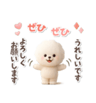 ビションフリーゼ★長文（個別スタンプ：25）