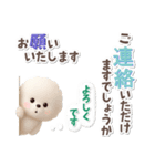 ビションフリーゼ★長文（個別スタンプ：28）