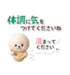 ビションフリーゼ★長文（個別スタンプ：33）