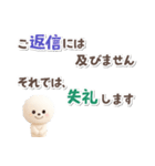 ビションフリーゼ★長文（個別スタンプ：39）