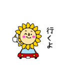 ひまわりなんです（個別スタンプ：24）