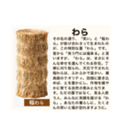 毎日使える♡ダジャレ(説明文付き)（個別スタンプ：13）