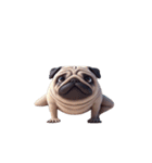 癒し系ヨガパグ犬（個別スタンプ：1）
