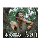 【木登り】色々みーっけ⭐︎おじさん（個別スタンプ：6）