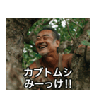 【木登り】色々みーっけ⭐︎おじさん（個別スタンプ：8）