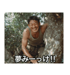 【木登り】色々みーっけ⭐︎おじさん（個別スタンプ：24）