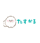 超小さいぱぴち（個別スタンプ：22）