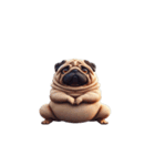 面白いパグ犬のヨガ（個別スタンプ：3）