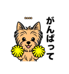名前入りヨーキーブルータン（個別スタンプ：20）