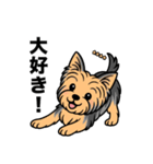 名前入りヨーキーブルータン（個別スタンプ：22）