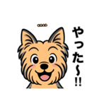 名前入りヨーキーブルータン（個別スタンプ：23）