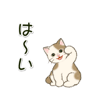 男性も使いやすい だらだらにゃんこ（個別スタンプ：3）