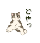 男性も使いやすい だらだらにゃんこ（個別スタンプ：5）