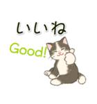 男性も使いやすい だらだらにゃんこ（個別スタンプ：6）
