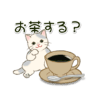 男性も使いやすい だらだらにゃんこ（個別スタンプ：14）
