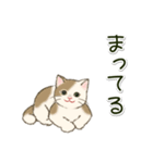 男性も使いやすい だらだらにゃんこ（個別スタンプ：16）