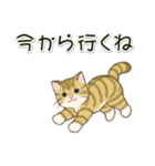 男性も使いやすい だらだらにゃんこ（個別スタンプ：17）
