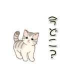 男性も使いやすい だらだらにゃんこ（個別スタンプ：18）
