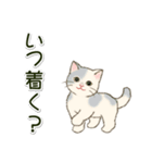 男性も使いやすい だらだらにゃんこ（個別スタンプ：19）