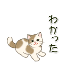 男性も使いやすい だらだらにゃんこ（個別スタンプ：21）