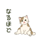 男性も使いやすい だらだらにゃんこ（個別スタンプ：23）