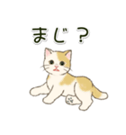 男性も使いやすい だらだらにゃんこ（個別スタンプ：24）