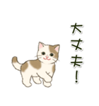 男性も使いやすい だらだらにゃんこ（個別スタンプ：26）