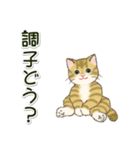 男性も使いやすい だらだらにゃんこ（個別スタンプ：27）