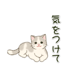 男性も使いやすい だらだらにゃんこ（個別スタンプ：28）
