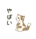 男性も使いやすい だらだらにゃんこ（個別スタンプ：29）