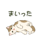 男性も使いやすい だらだらにゃんこ（個別スタンプ：30）