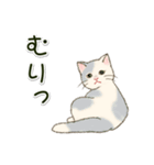 男性も使いやすい だらだらにゃんこ（個別スタンプ：31）