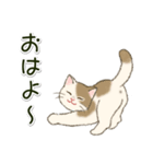 男性も使いやすい だらだらにゃんこ（個別スタンプ：33）