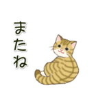 男性も使いやすい だらだらにゃんこ（個別スタンプ：35）