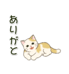 男性も使いやすい だらだらにゃんこ（個別スタンプ：36）