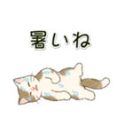 男性も使いやすい だらだらにゃんこ（個別スタンプ：37）