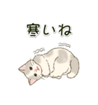 男性も使いやすい だらだらにゃんこ（個別スタンプ：38）