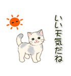 男性も使いやすい だらだらにゃんこ（個別スタンプ：39）