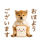 飛び出す！柴犬の日常スタンプ（個別スタンプ：2）