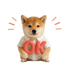 飛び出す！柴犬の日常スタンプ（個別スタンプ：9）